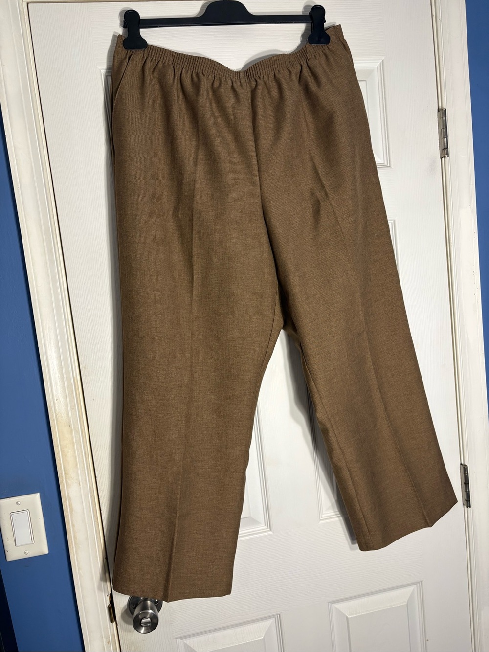 Alfred Dunner Brown Elastic-Waist Straight Dress Pants